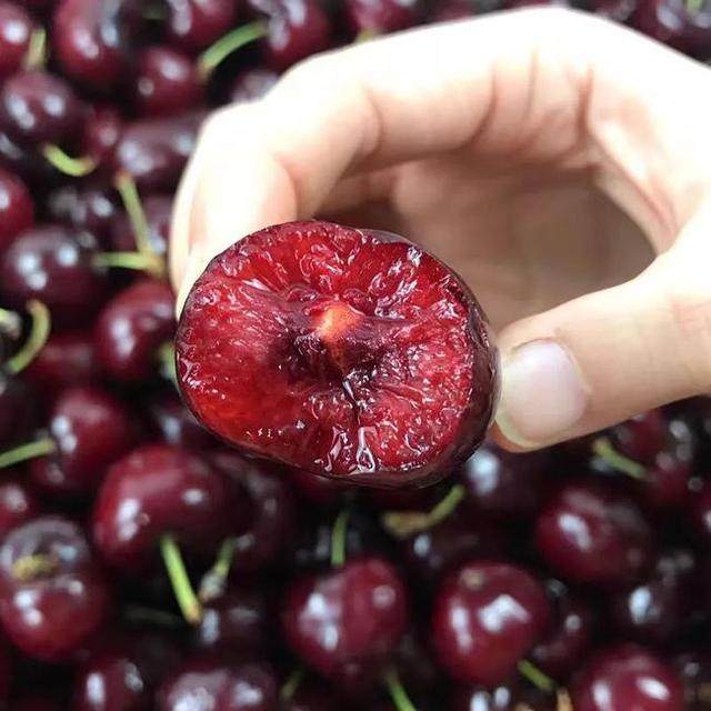 车厘子存储方式，车厘子保存方法和温度（智利车厘子用什么炼了“不坏金身”）