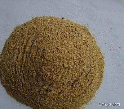 钓鱼的白粉是什么原料，钓鱼用的白粉是什么材料（这类是身边随处可见的东西）