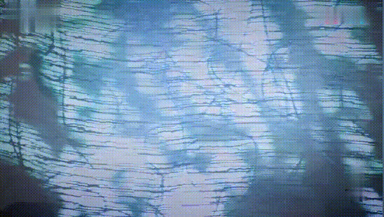 火玫瑰剧情介绍，火玫瑰剧情介绍分集（她演的火玫瑰是演艺生涯中一抹灿烂的光）