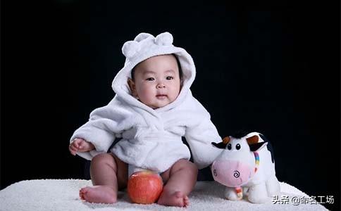 煌字的的含义是什么，带有煌字的词语（猪年男生富有寓意的名字大全）