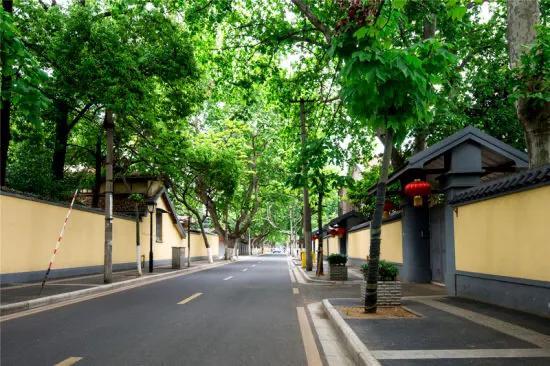南京好玩的地方排行榜前十名，南京景点排行榜前十名（南京旅游必打卡的10个景点）