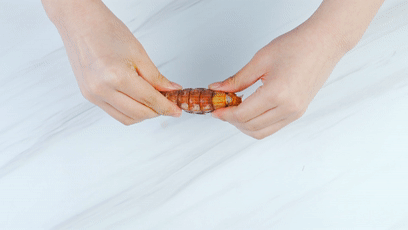 如何挑选琵琶虾，如何挑虾吃虾，一文说分明