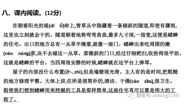 冶字怎么组词，冶字组词（部编版四年级语文上册期中知识点汇总附模拟卷及答案）