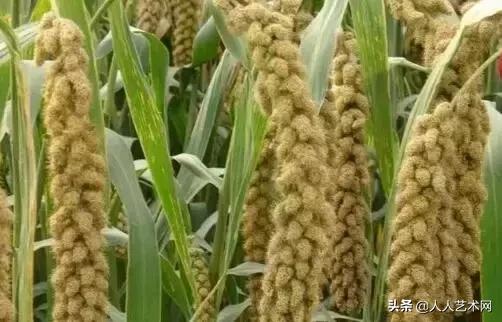 山东诸城的具体资料，诸城百度百科（诸城简历竟然是这样的）