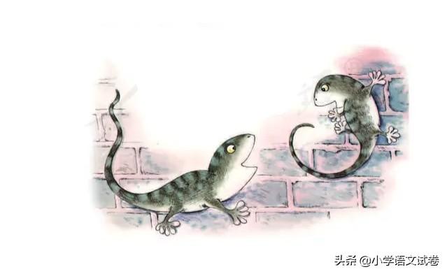 小壁虎借尾巴告诉我们什么道理，小壁虎借尾巴故事主要讲了什么（一下第二十一课《小壁虎借尾巴》教材解析）