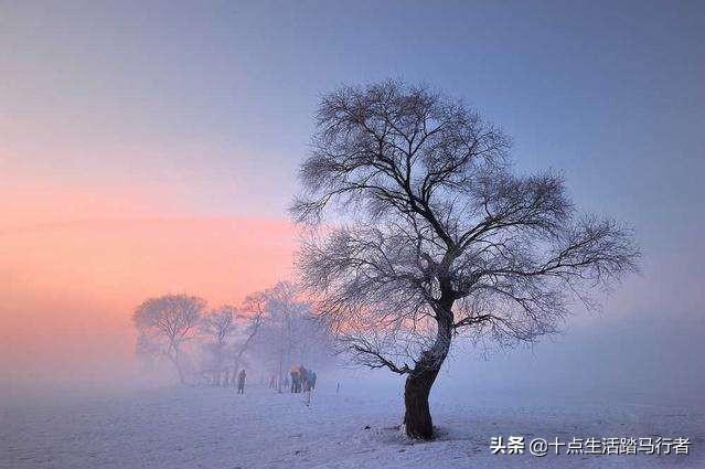 吉林雾凇景色奇特三九严寒，冰天雪地中的美景——吉林雾凇