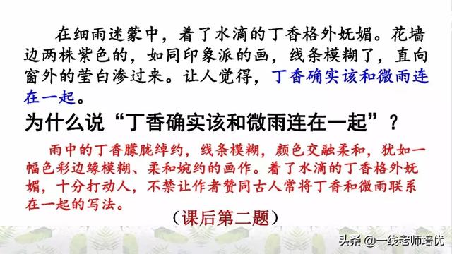 平淡无味的意思，清淡无味的意思（部编版六年级上册第2课《丁香结》重点知识点+图文解读）