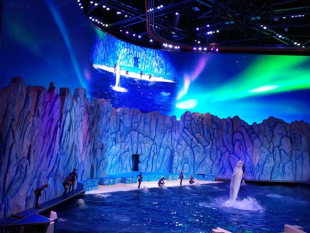 珠海长隆攻略，珠海旅游攻略（广州夫妻2天自驾珠海长隆）