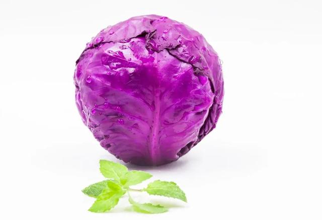 炒紫甘蓝的禁忌，女人长期吃紫甘蓝的好处（每天认识一种蔬菜—紫甘蓝）