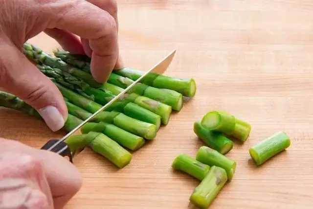 steam是什么软件，steam软件下载手机版（4月的芦笋“天生丽质”）