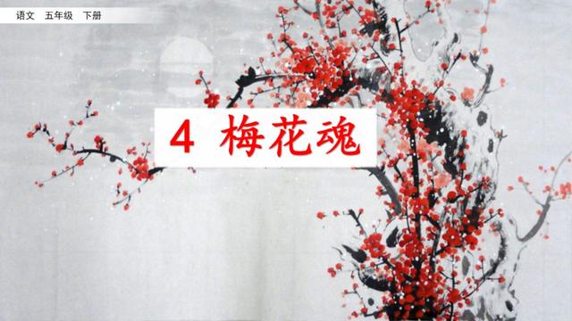 梅花魂的意思，部编版五年级下册第4课《梅花魂》图文讲解+知识点梳理