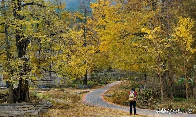 金寨灵山寺在哪，谢谢你，金寨