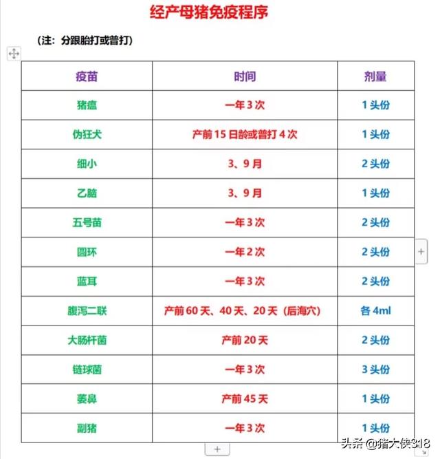 最新猪疫苗时间表，猪疫苗免疫时间大全