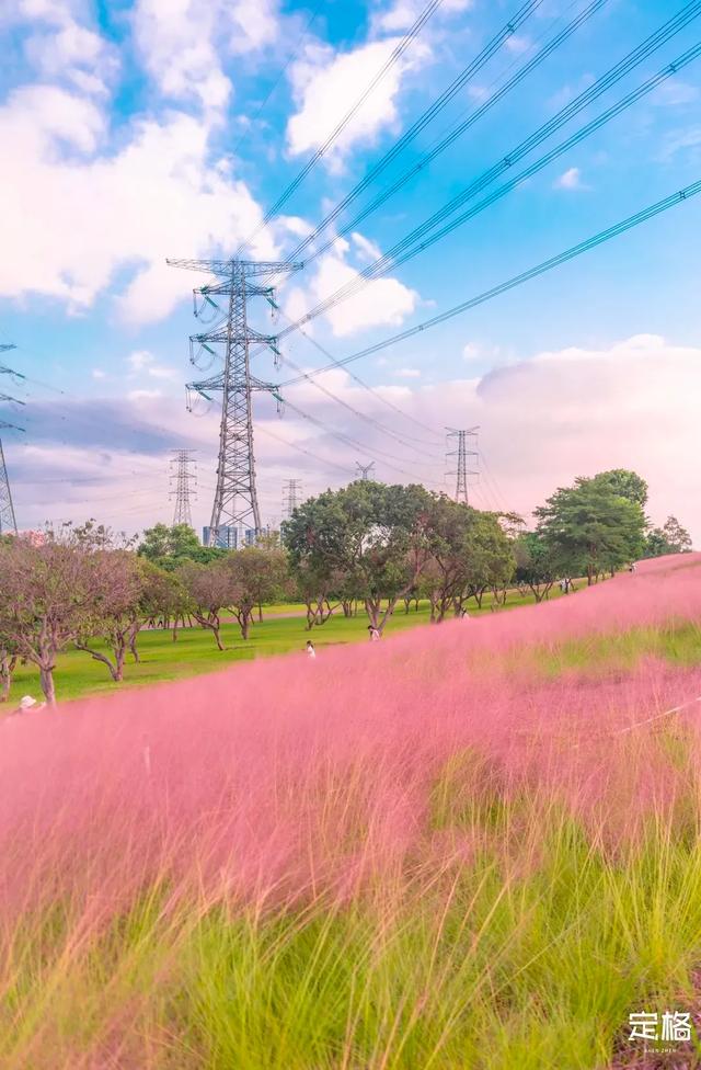 深圳哪里好玩又便宜，深圳哪里好玩又便宜的地方（《11月深圳打卡指南》来了）