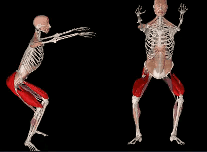 做深蹲的正确姿势，怎样做深蹲动作（深蹲与俯卧撑动作解析）