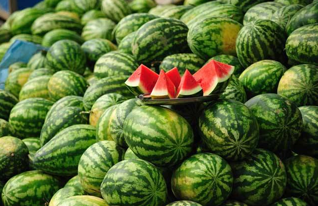 南瓜的品种常见的有几种，南瓜品种大全图片及名称（农村人最爱种植的20种“瓜”）