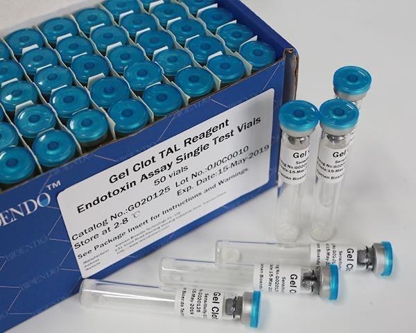 关于鲎介绍，关于鲎的知识（地球上演化4.8亿年之久）