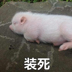 微博怎么设置备注，微博备注在哪里设置（这个忍了9年的毛病）