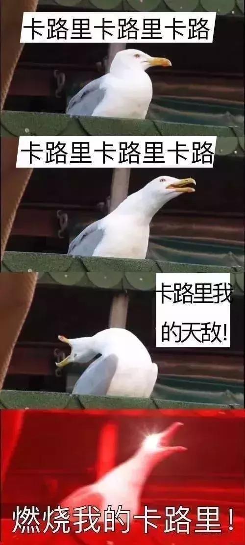 海贼王情侣头像，海贼王情头微信（盘点年度沙雕大集锦）