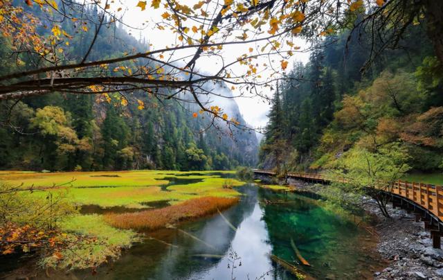 九寨沟在哪个市，九寨沟在哪里个城市（刚刚，九寨沟全域，重新开放）