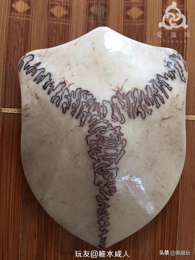 象牙果是什么东西，象牙果是什么东西（真的入手生润）