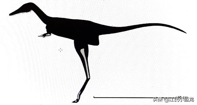 re网名的含义，Re微信昵称（2020古生物学家到底命名了多少种恐龙）