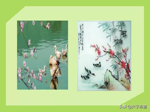 鸯字怎么组词，鸯字怎么组词三年级（部编版语文三年级下册第一单元汇总）