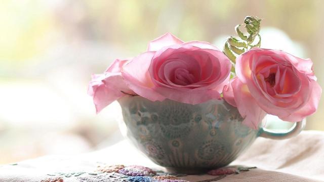 十二星座做什么容易减轻自己的烦恼，十二星座做什么容易减轻自己的烦恼呢（十二星座的减压妙方各是什么）