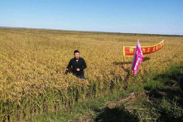 齐齐哈尔龙江县面积，齐齐哈尔龙江县面积多大（黑龙江寂寂无名的小县城）