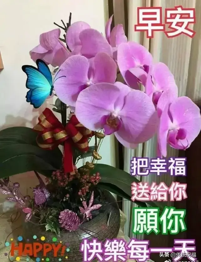 拈花一笑的下一句，拈花一笑的真正禅意是什么（如花美眷；人活一世）