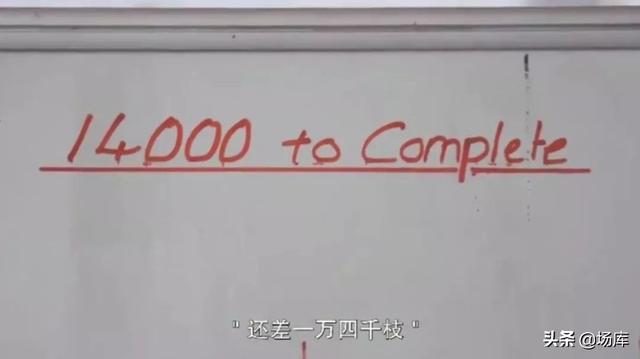 权游瓦里斯为什么被处死，你会原谅这个烂尾的神剧