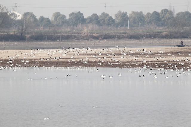 八百里洞庭湖!，八百里洞庭湖的由来（八百里洞庭）