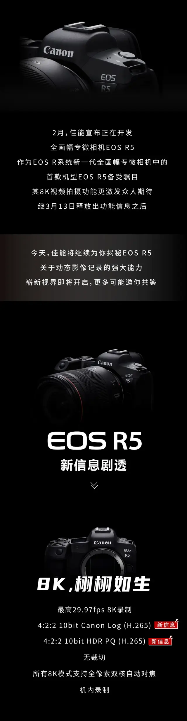 佳能c300，佳能C100和C300有什么区别?（R5和C300）