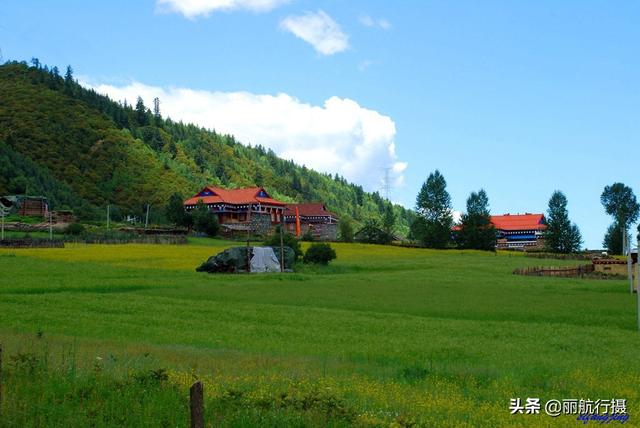 新都桥草原风景，新都桥—塔公草原—雅砻江河谷——迷人的夏季风光