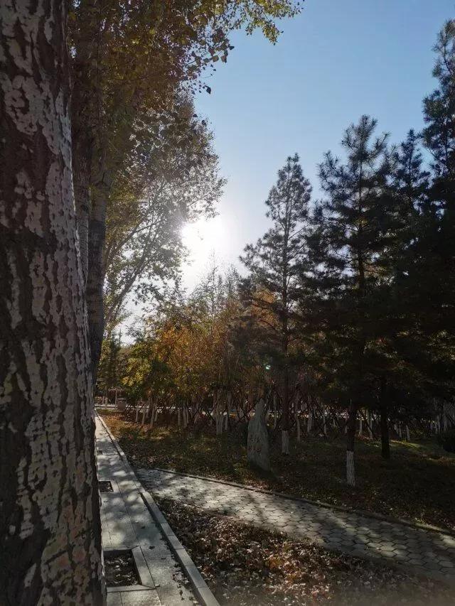 吉林师大博达学院，2021吉林师范大学博达学院排名（<五>吉林师范大学博达学院）