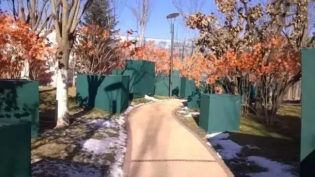 庭荫树种植方法，园林植物的养护管理措施和方法