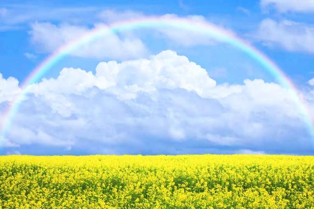 开源节流是什么意思是什么，开源节流是什么意思（企业的生存之道：开源节流）