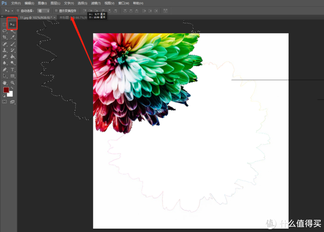 ps入门教程：ctrl+T自由变换，ps入门教程（不如……7天学会photoshop基本操作）