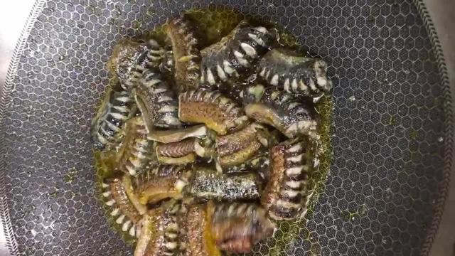 红烧黄鳝的做法，红烧黄鳝最简单做法（红烧黄鳝的正确做法）