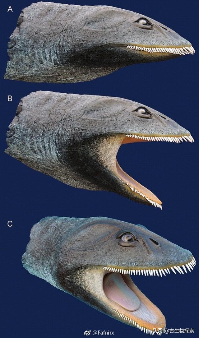 蛇颈龙的本领是什么，蛇颈龙的本领是什么意思（白垩纪的蛇颈龙像鲸鱼一样张开大嘴过滤食物）