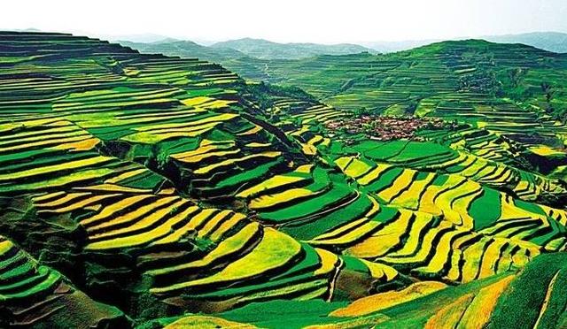 甘肃陇南女人特点，陇南的特点（甘肃最漂亮的14个美女）