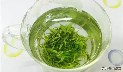 黄山毛峰属于什么茶类，黄山毛峰属于什么茶类保质期（你对毛峰茶的误会有些大）