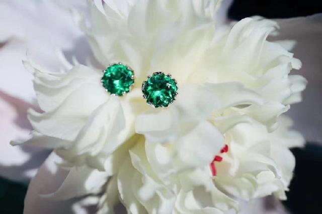 双鱼座戴什么宝石，双鱼座的星座宝石（专属十二星座的宝石）