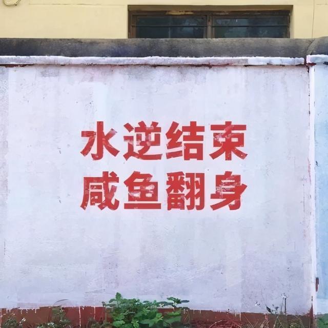 微信好看的背景图，微信朋友圈最好看背景图（个性、沙雕、励志文字控）