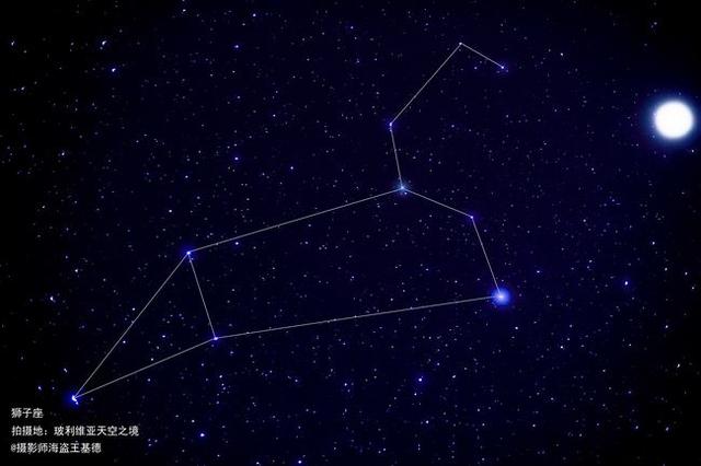 狮子男拿不住的女人，狮子男放不下的女人（具有领导气质的狮子）