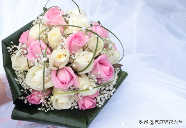 玫瑰花怎么保存，鲜花如何保存（花店御用保鲜秘籍）