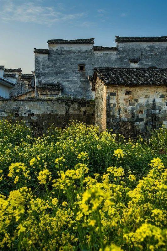 宏村在哪里，安徽宏村在哪里（宏村、西递等旅游景区恢复开放）