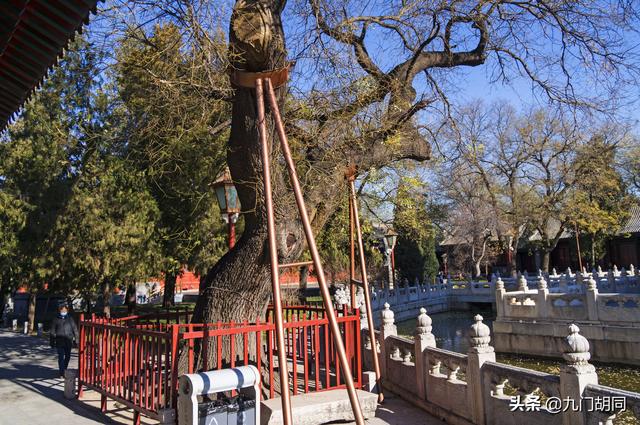 中国古代的最高学府有哪些，中国古代最好学府（中国古代最高学府和教育行政机构）