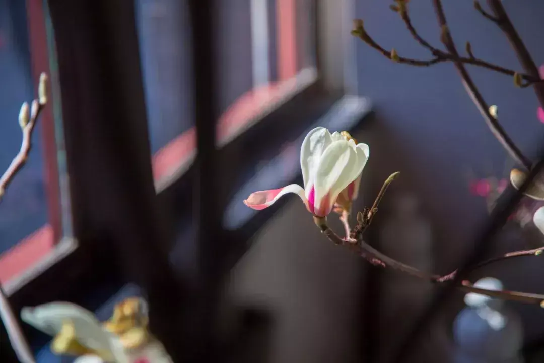 什么诺必寡什么填空，什么诺必寡（解开了很多人的心结）