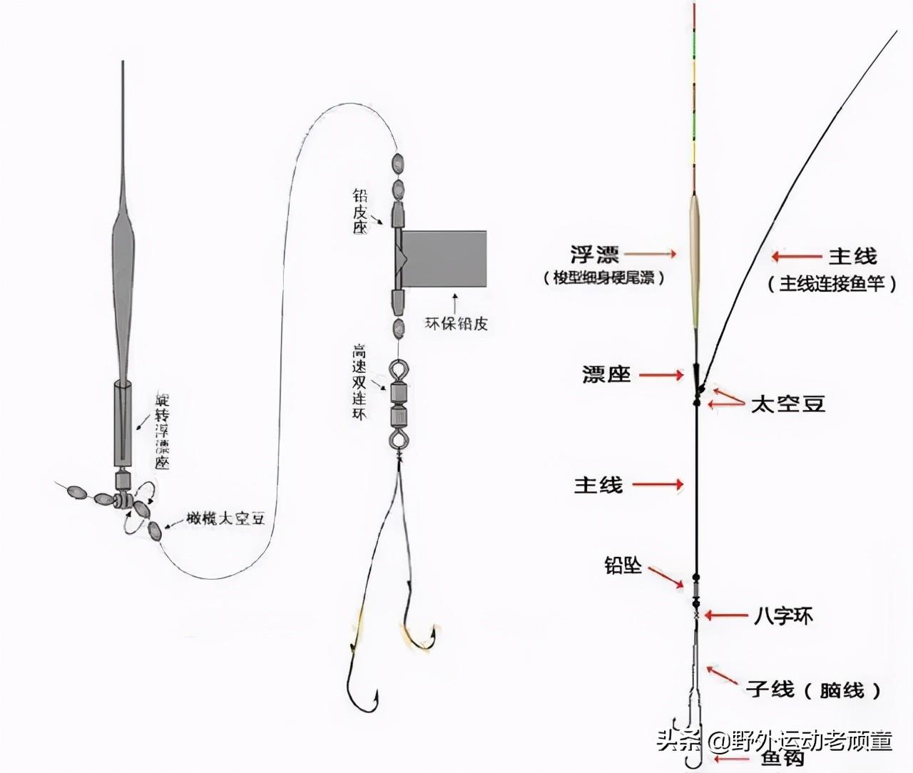 极豆（老钓翁聊台钓法野钓）